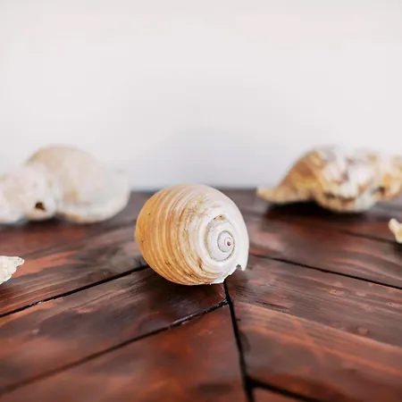 Louis House בית נופש