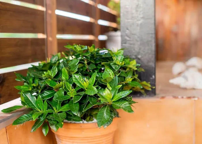 Louis House Dom wakacyjny Rhodes City