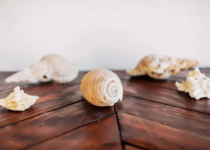 Louis House Dom wakacyjny