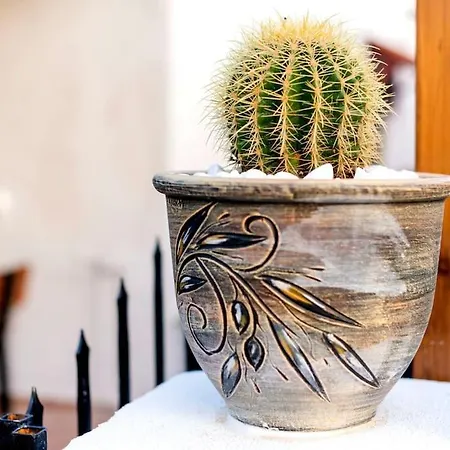 Louis House 펜션 Rhodes City